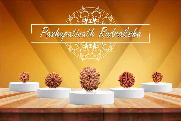 Rudraksha Mission